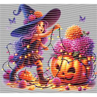 Halloween-WS 5856